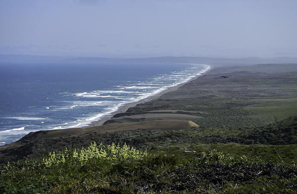 Point Reyes Beach