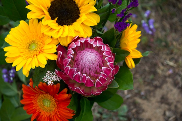 flowers for the fallen