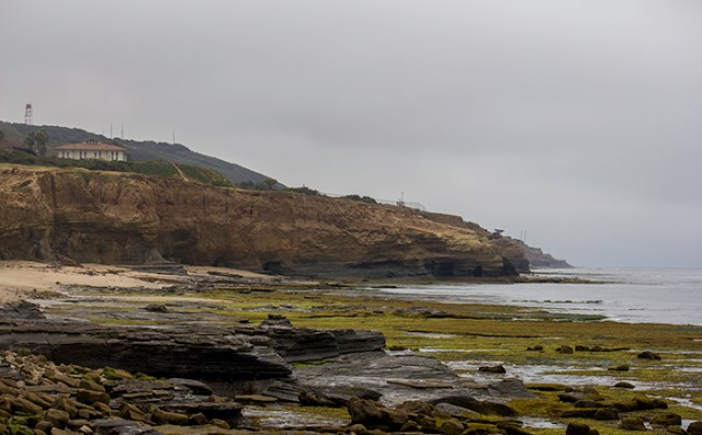 at the bottom of the 100 steps