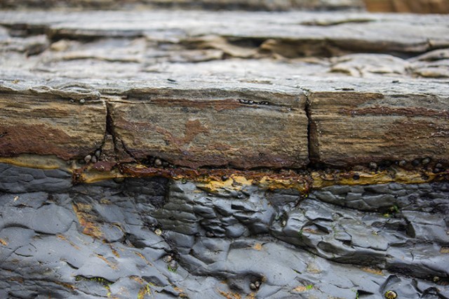 lines of life and color