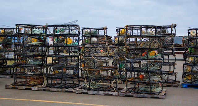 fishing gear at the harbor