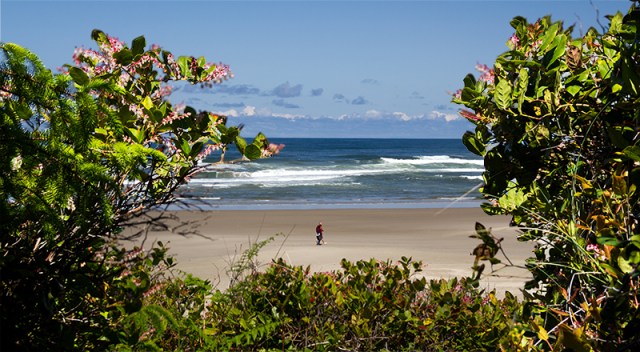 peek at Oregon coast