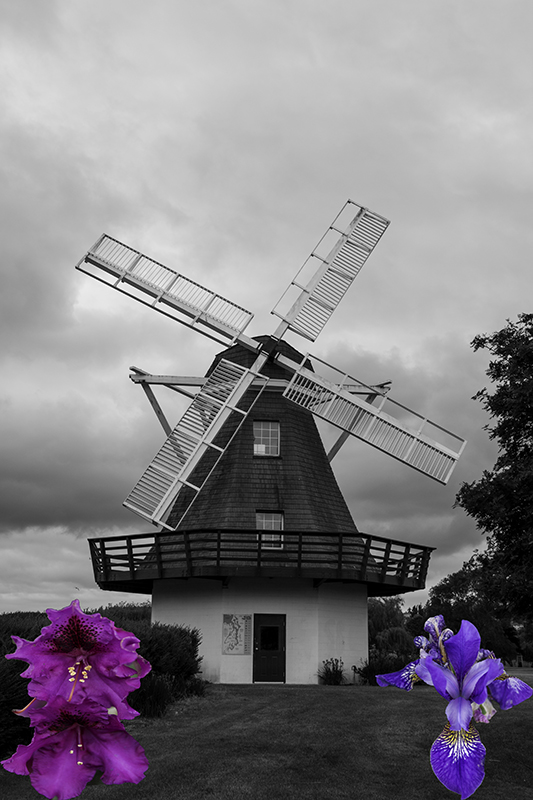 windmill at Oak Harbor Beach Park