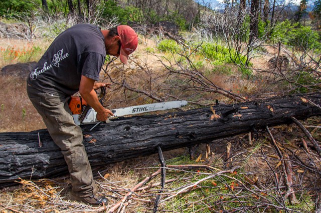 Jeff working on the chainsaw