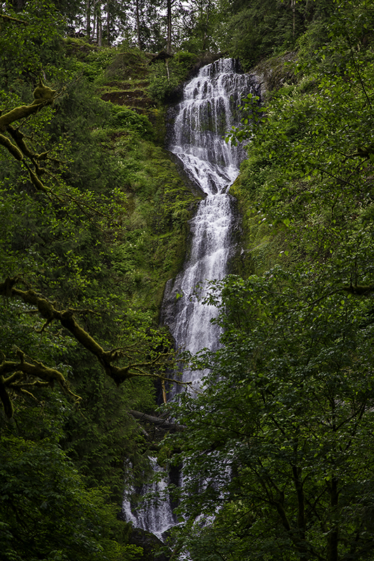 Munson Creek Falls