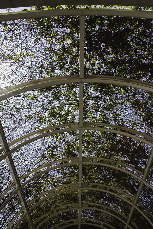 trellis at the convention center