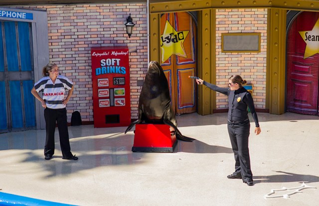 crime solving at Sea Lions Live
