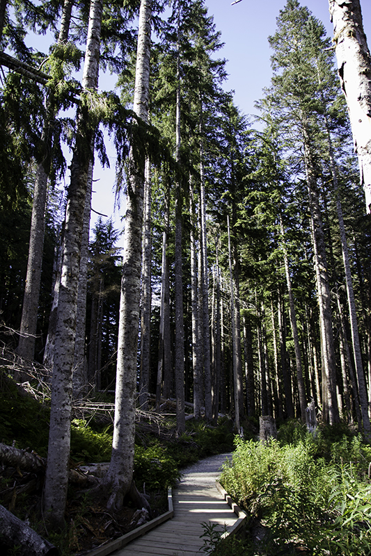 boardwalk to Big Four Ice Caves