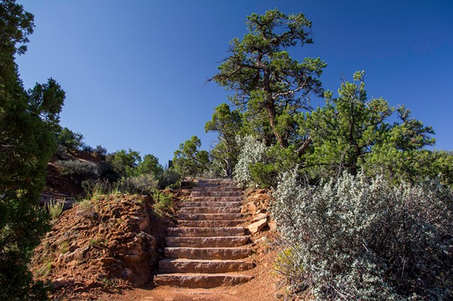 coming up the Aspen Trail in Navajo National Monument