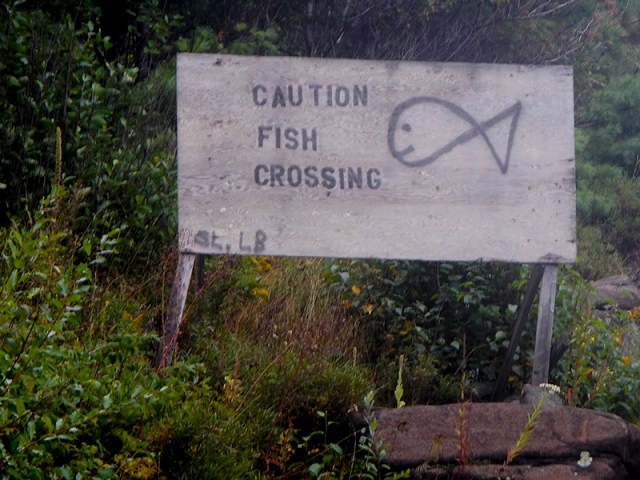 road sign