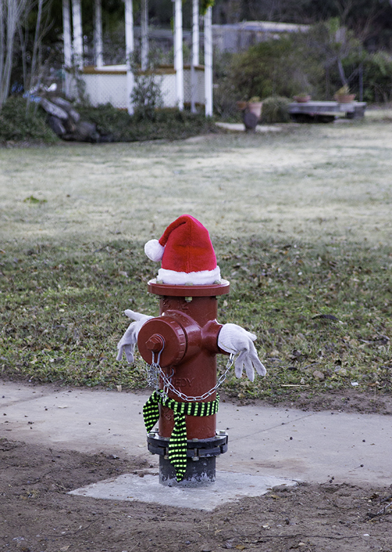 Santa Hydrant
