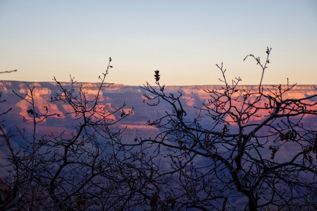 rocks, sticks, and color at the Grand Canyon