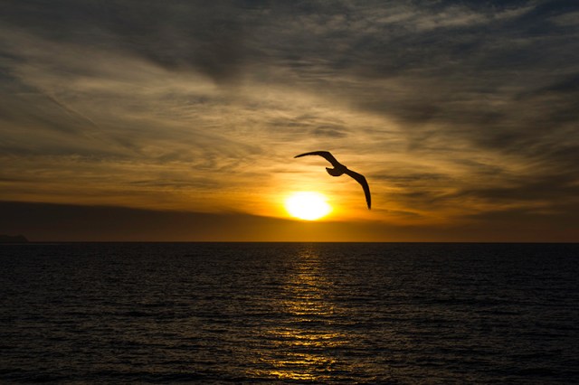 sunset sweeping across the sky