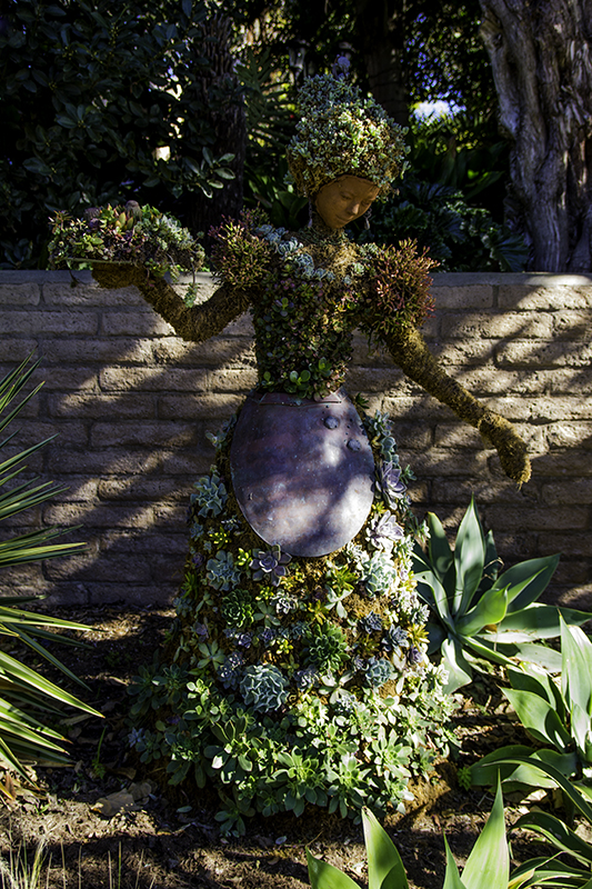 sexy succulent server 