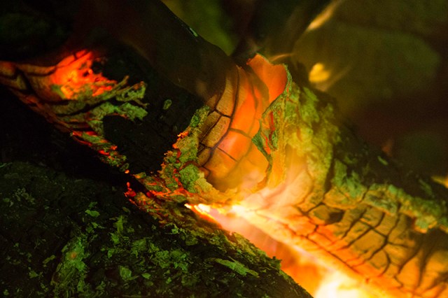 a fire into the future