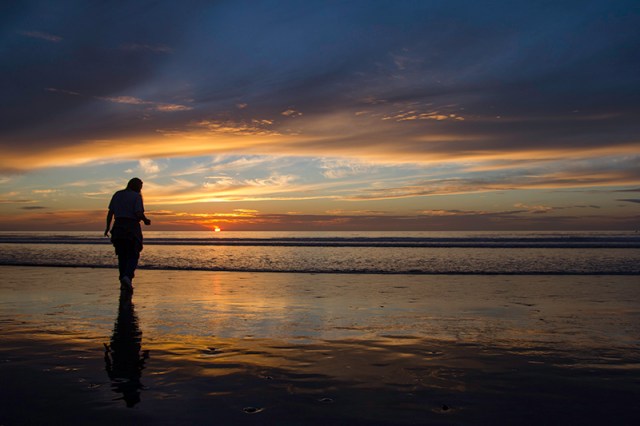 Mom still looking for sand dollars