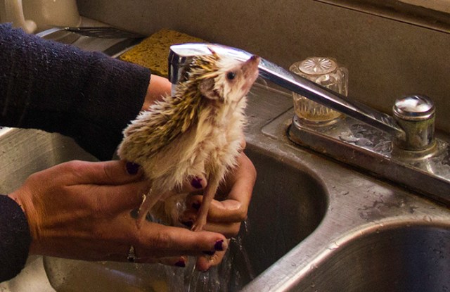 Where did those legs come from? - photo by Caleb