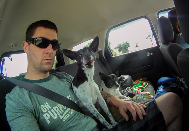 view of the backseat 