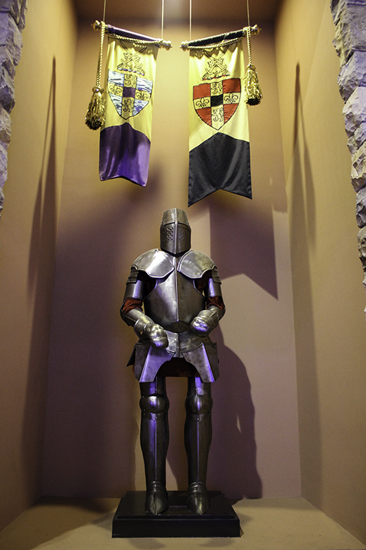 a knight in Excalibur
