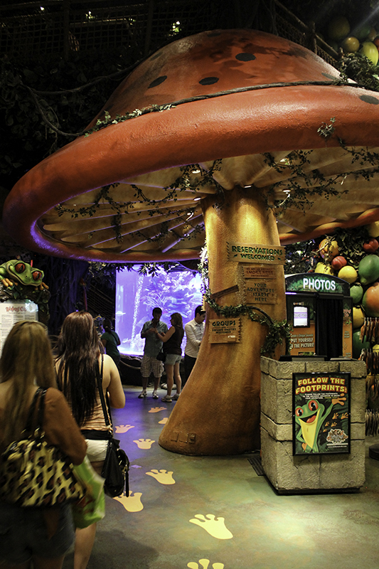 giant mushroom in Rainforest Café 