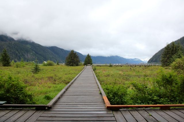 Estuary Boardwalk, Stewart, BC