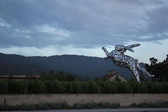 Bunny Foo Foo at Hall Wines, Hwy 29