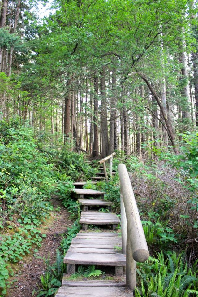 trail from Cape Flattery to the car