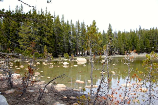lake along Tioga Pass Rd