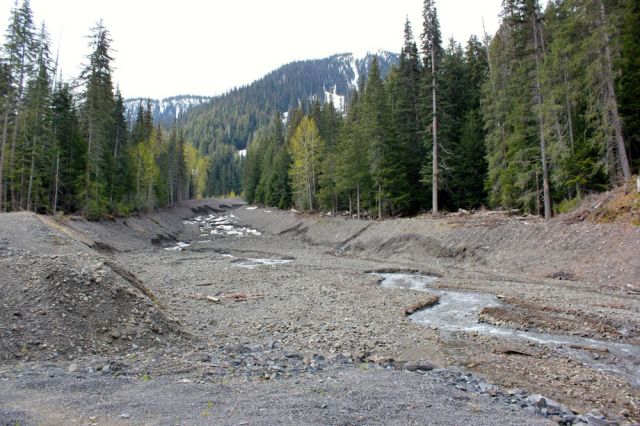 near Ningunsaw Provincial Park, BC