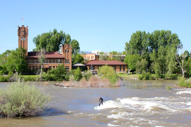 surfer in the Clark-Fork River