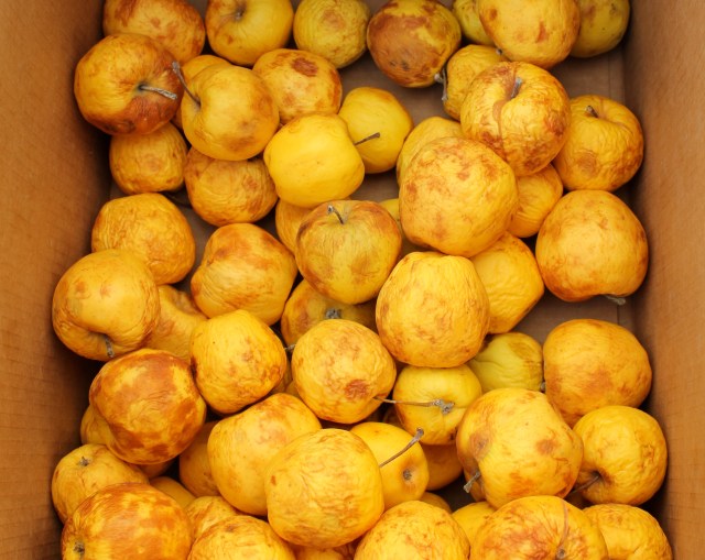 yellow and/or delicious