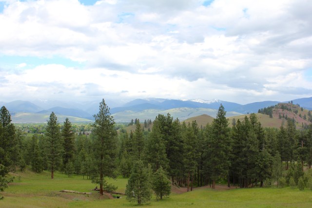 view of the disc golf course
