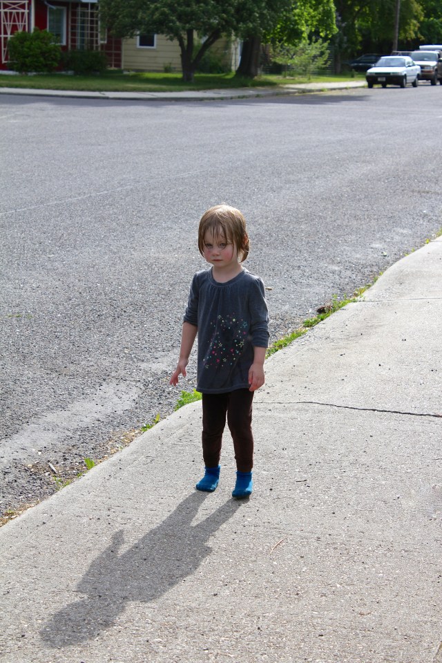 a wet owl and her shadow