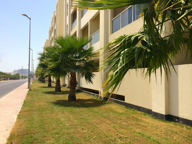 where I walk the dogs