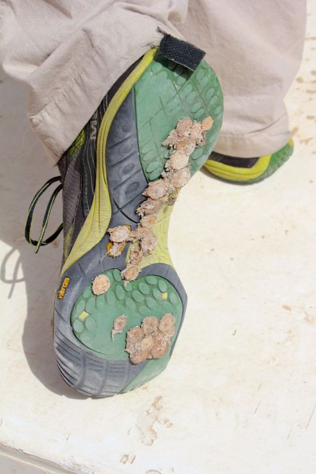 pretty in a different way now