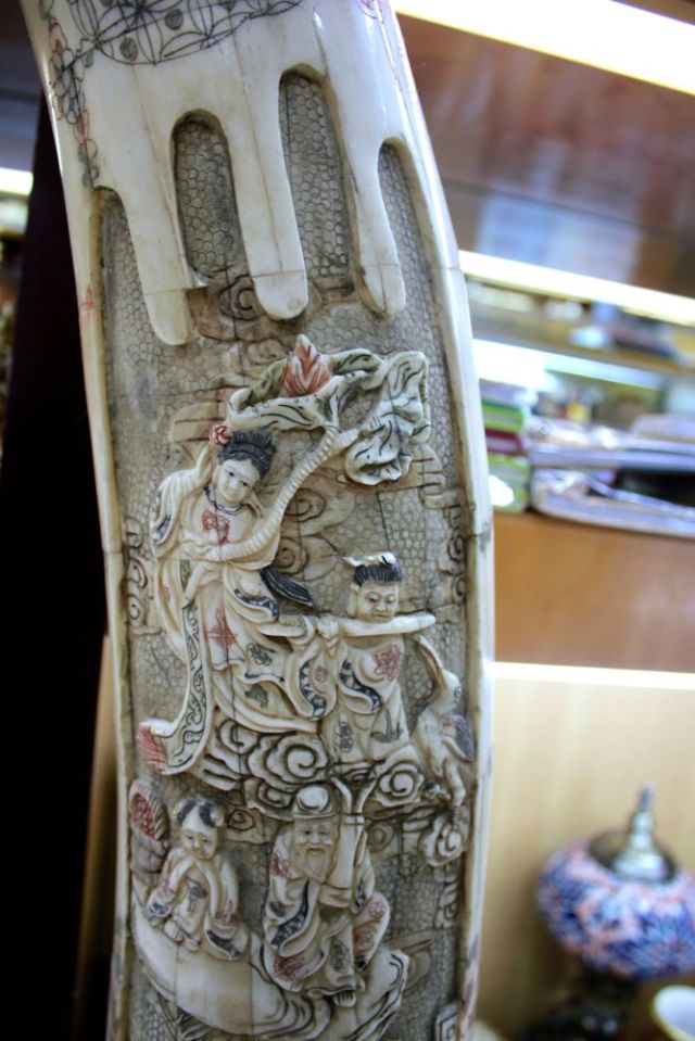 section of camel bone carving