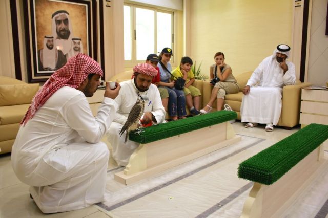 Falcon Hospital waiting room