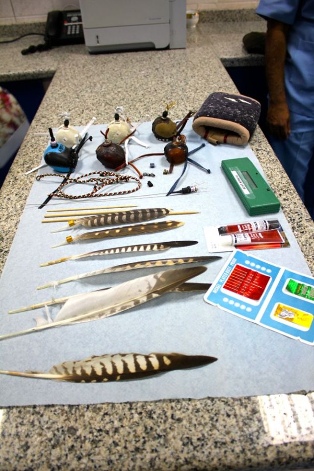 feathers, caps, needles, chopsticks, super glue, GPS transmitter, and arm sleeve