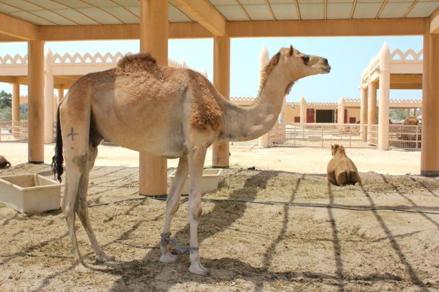 just standing around