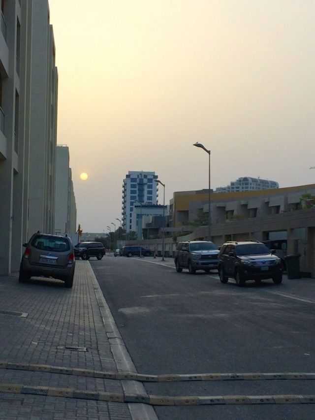 speed bumps on the sidewalk so they can't be avoided
