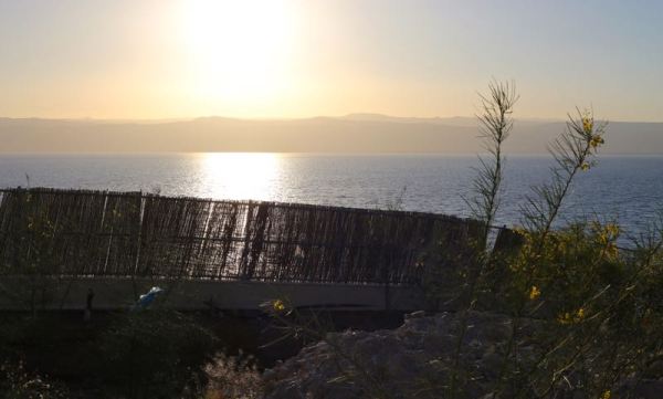fence and flowers by the Sea