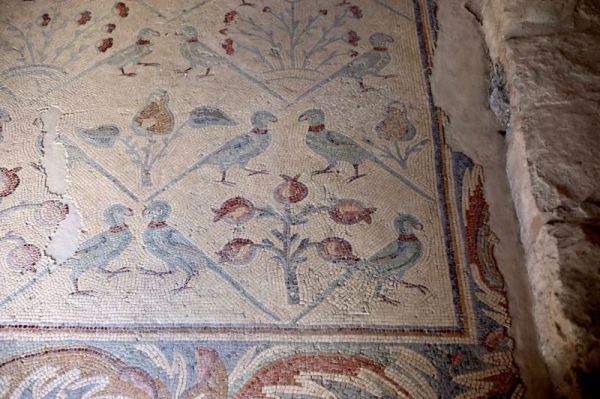 colorful detailed designs