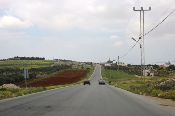 greenery, farmland, and open road