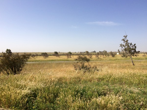 to the airport in Jordan