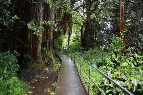 Akaka Falls State Park