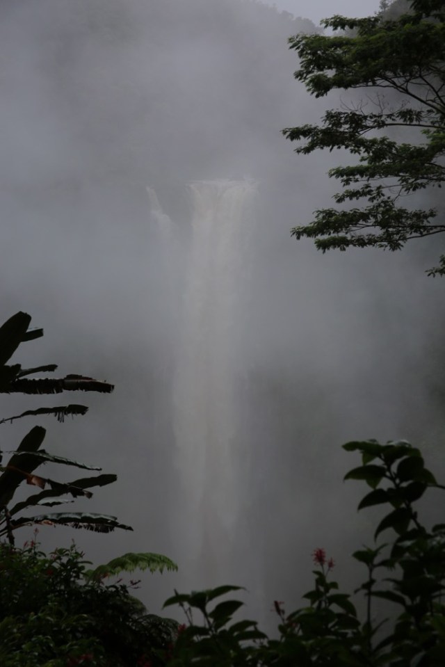 Akaka Falls State Park