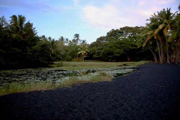 pond at Punalu'u Black Sand Beach