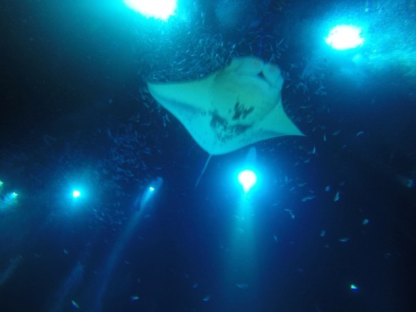 eating by flashlight