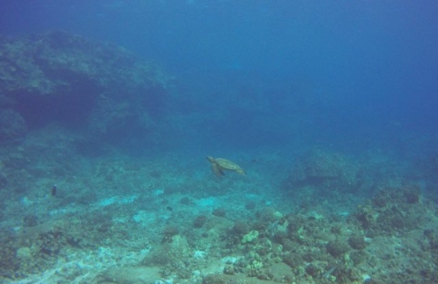 DCIM100GOPROGOPR0962.