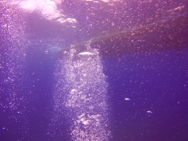 DCIM100GOPROGOPR1133.